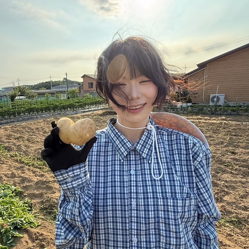 고로켓